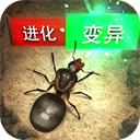 盛兴集团图